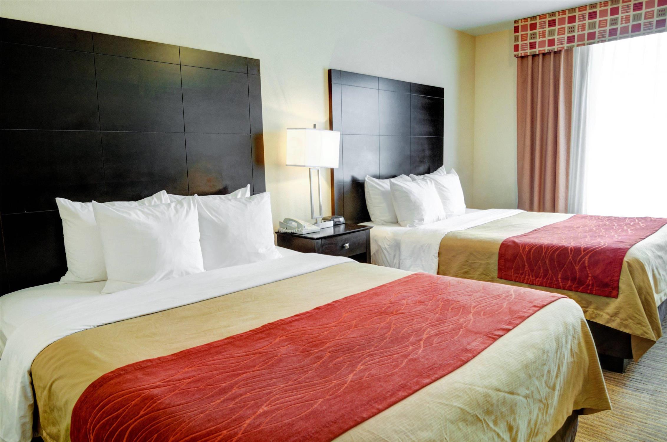 Comfort Inn & Suites Amarillo West Near Medical Center photo 6