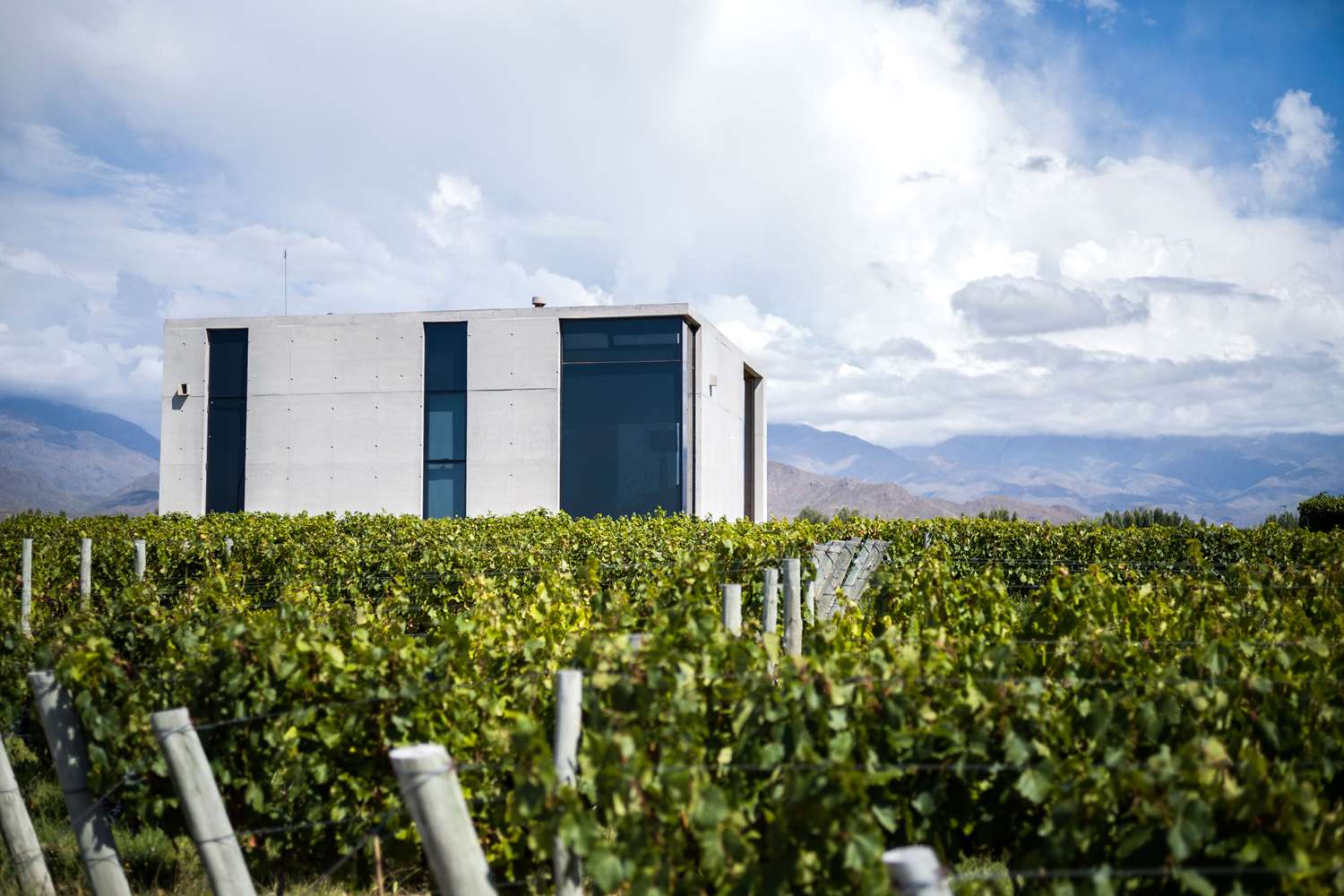 Casa de Uco Vineyards & Wine Resort by null
