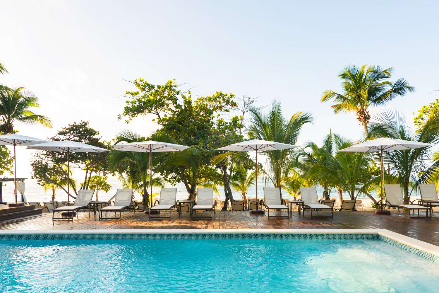 Emotions by Hodelpa Juan Dolio by null