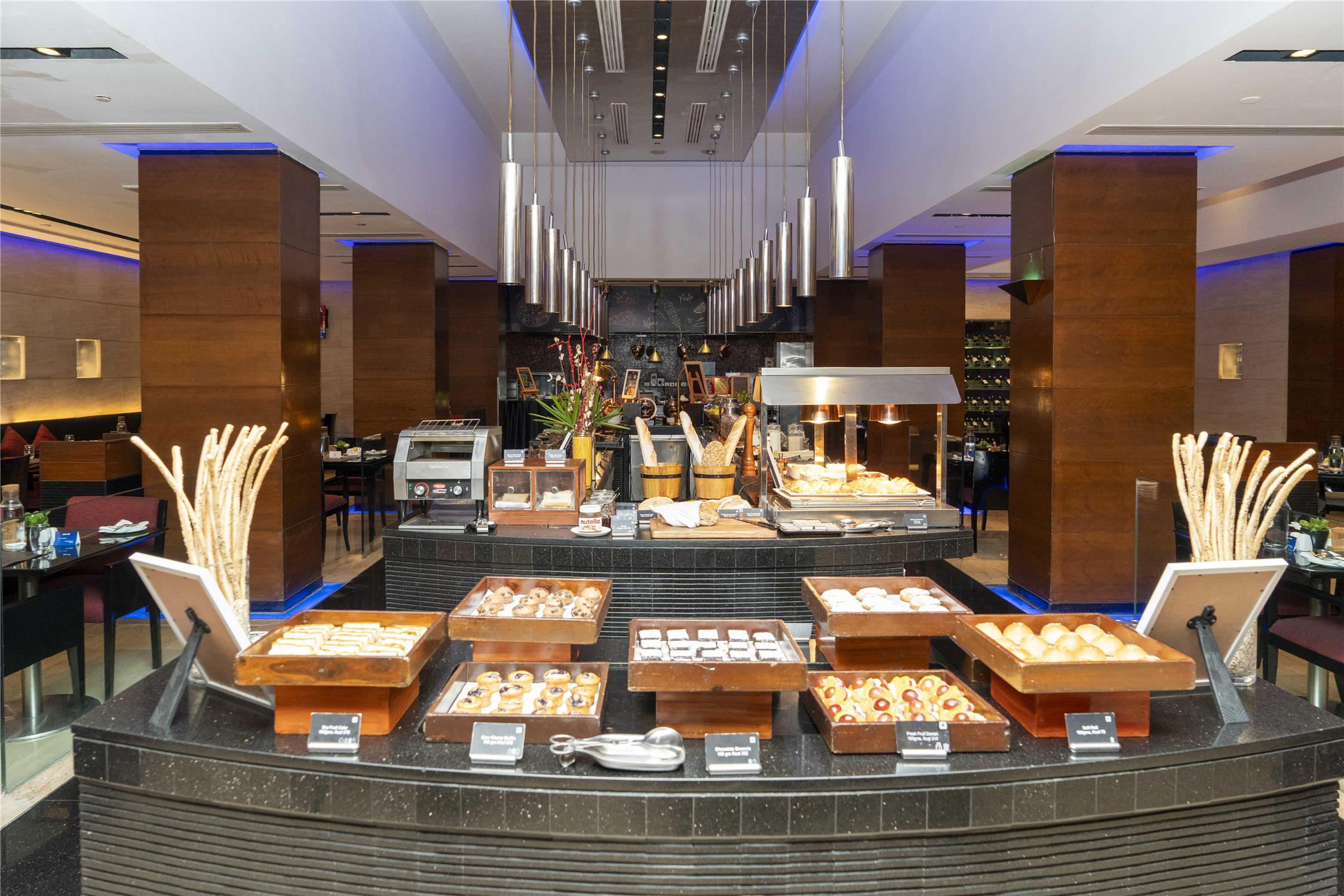 Radisson Blu Plaza Hotel, Delhi Airport by null