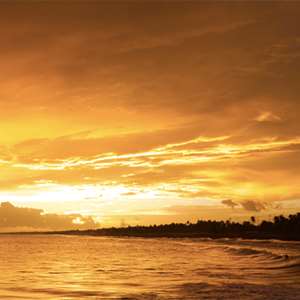 Fiesta Resort All Inclusive by null