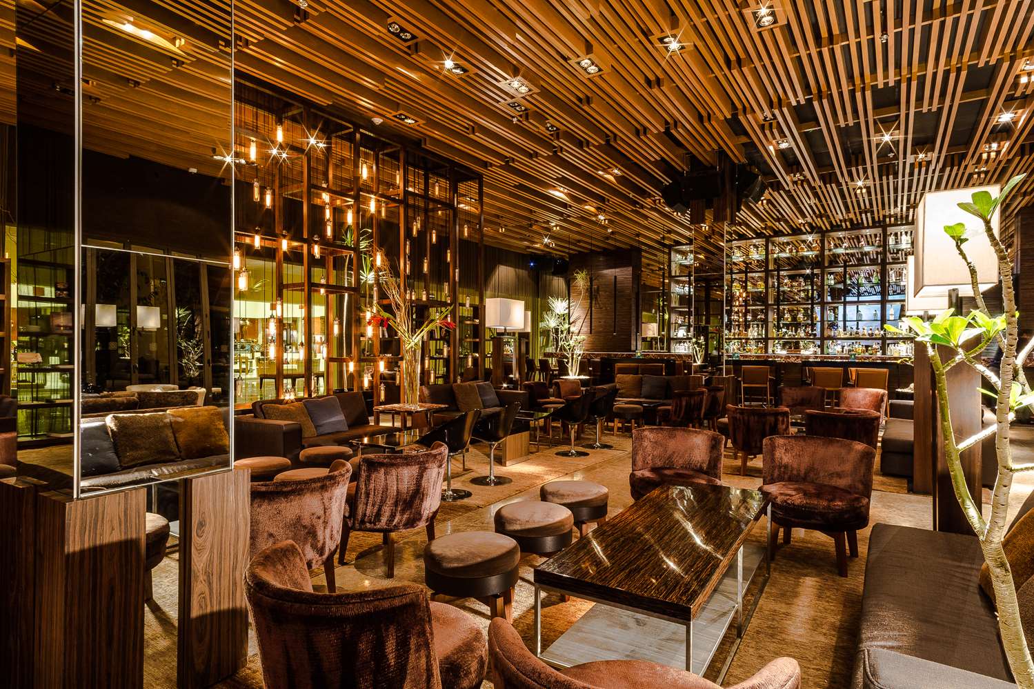 Grand Velas Riviera Maya by null