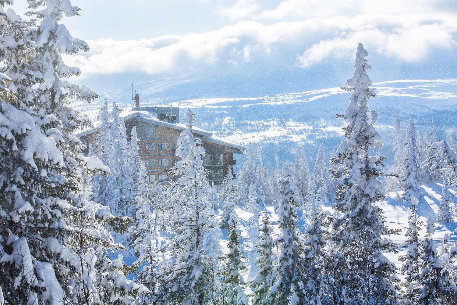 Copperhill Mountain Lodge by null