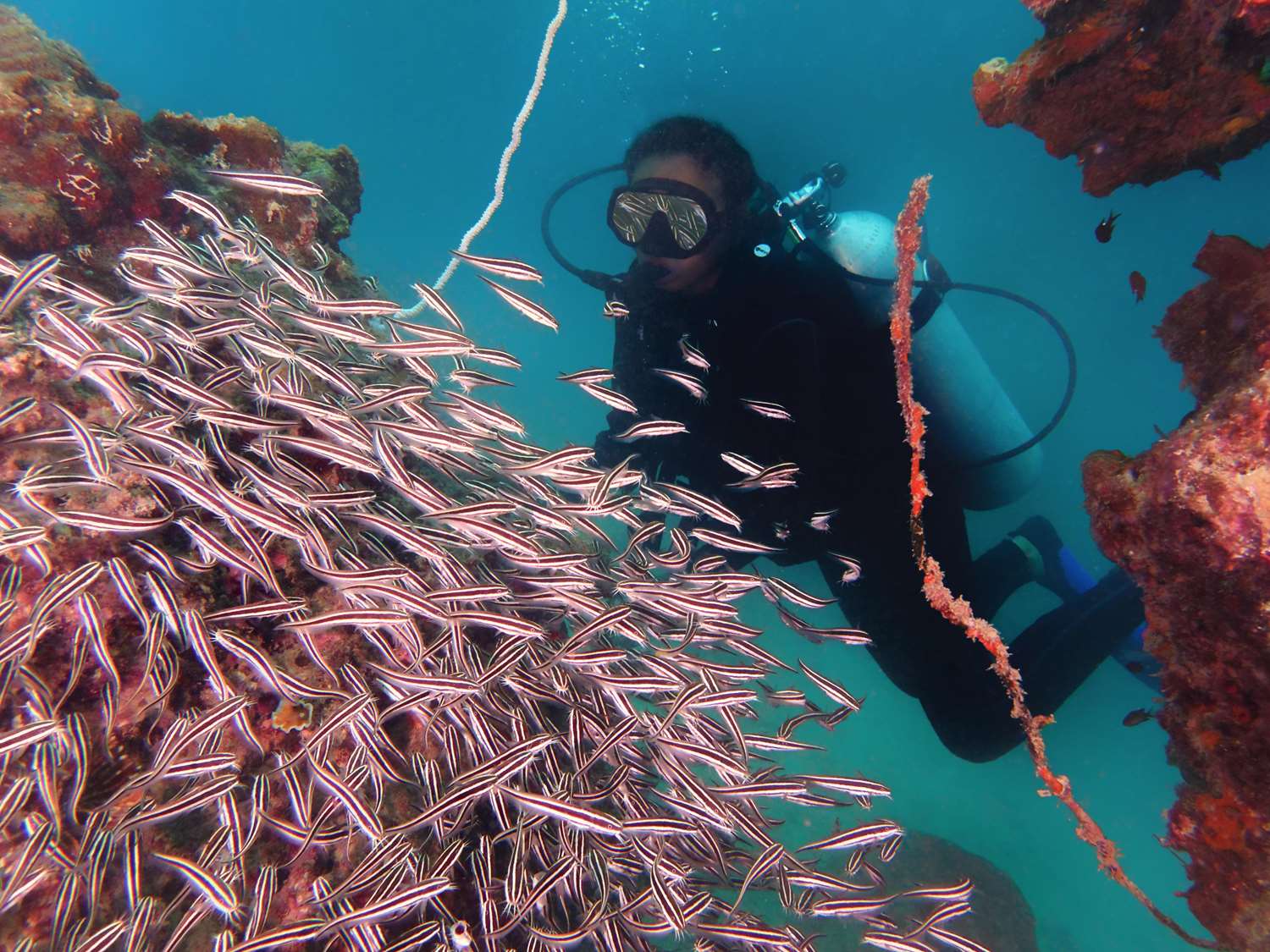 Gayana Marine Resort by null