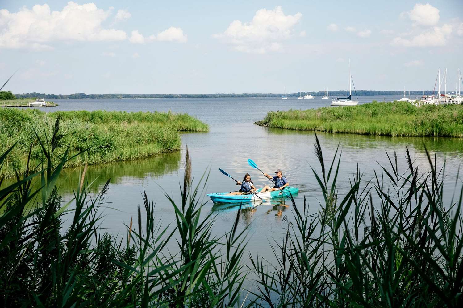 Inn At Perry Cabin by null
