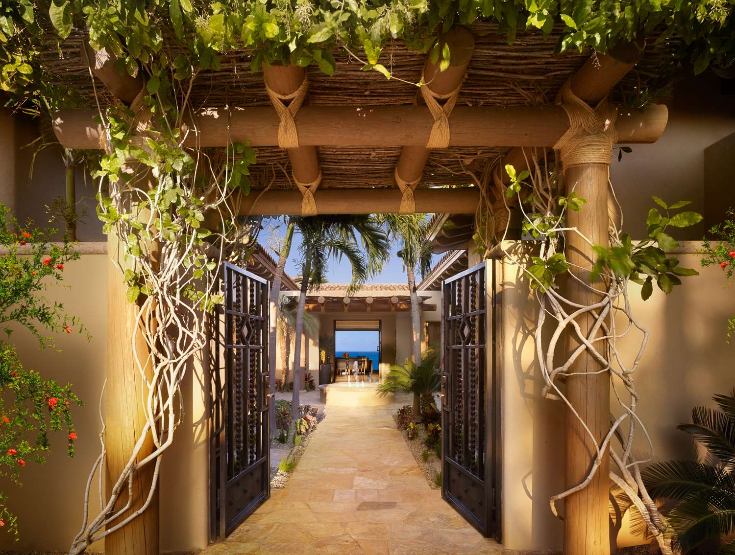 Montage Los Cabos by null