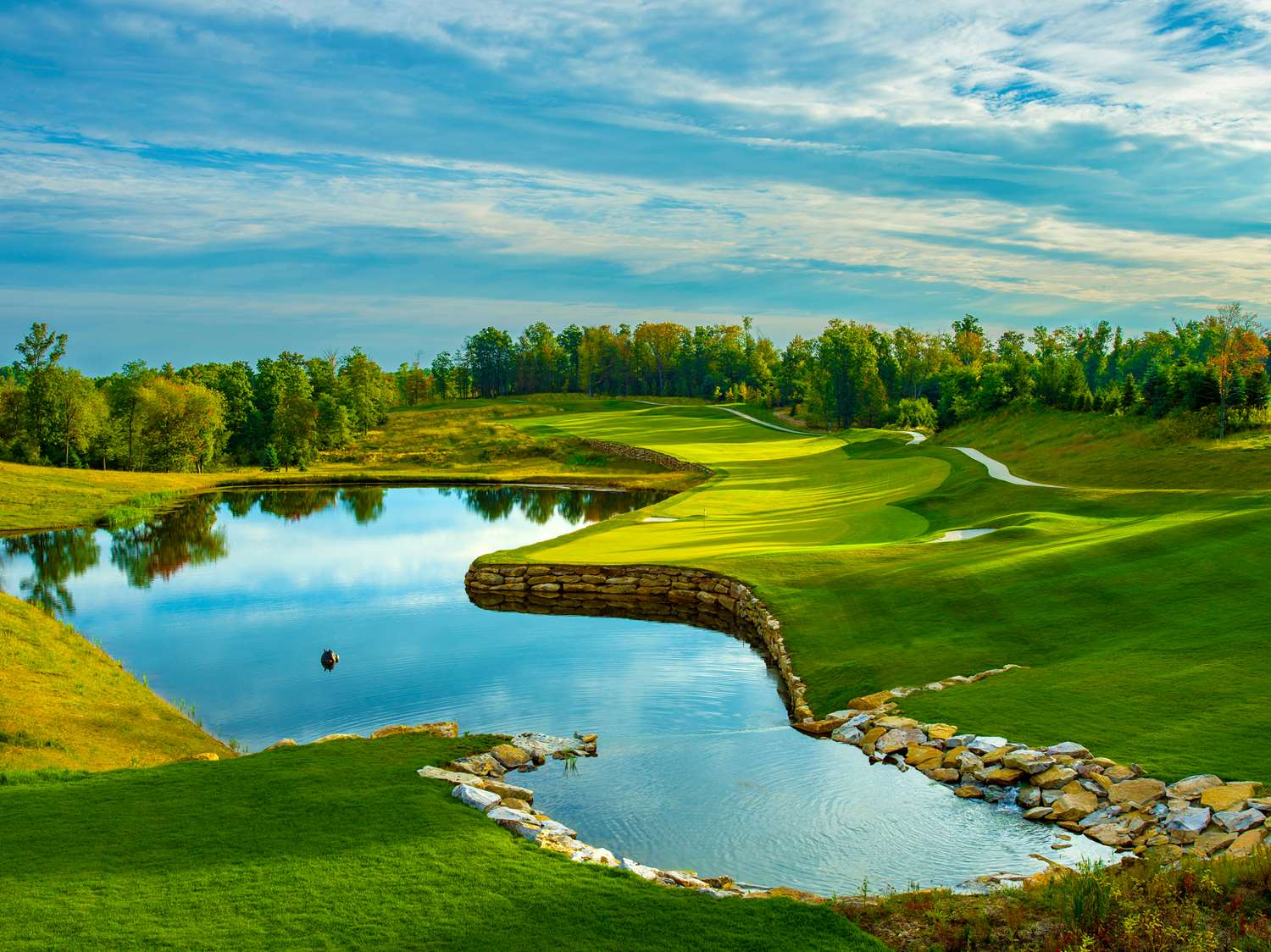 Nemacolin by null