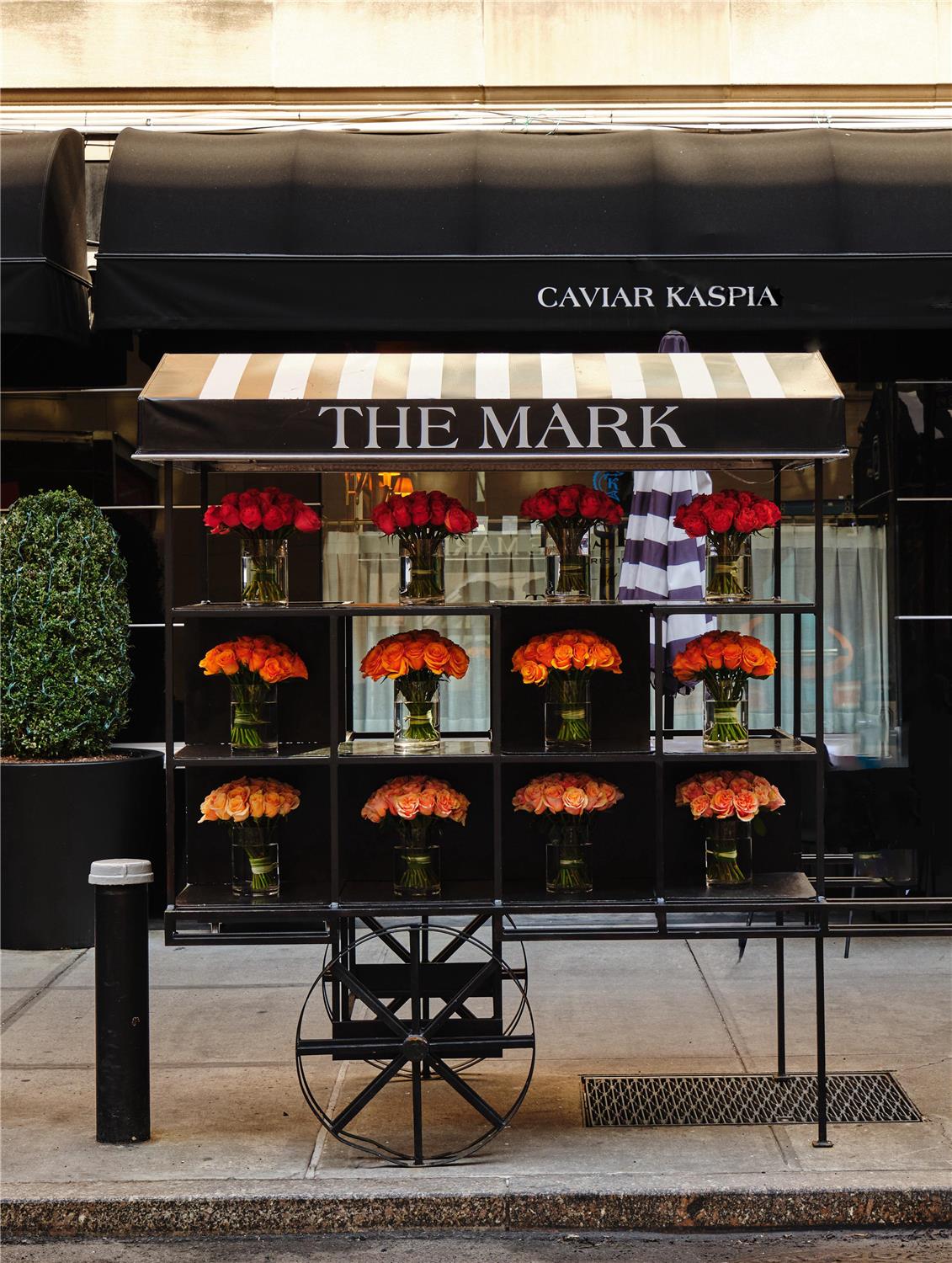 The Mark Hotel by null