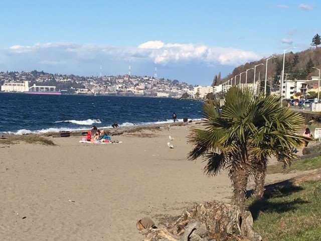 Georgetown Inn by null