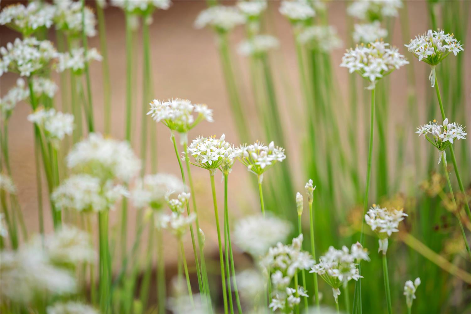 Best Western Hotel Hillerod by null