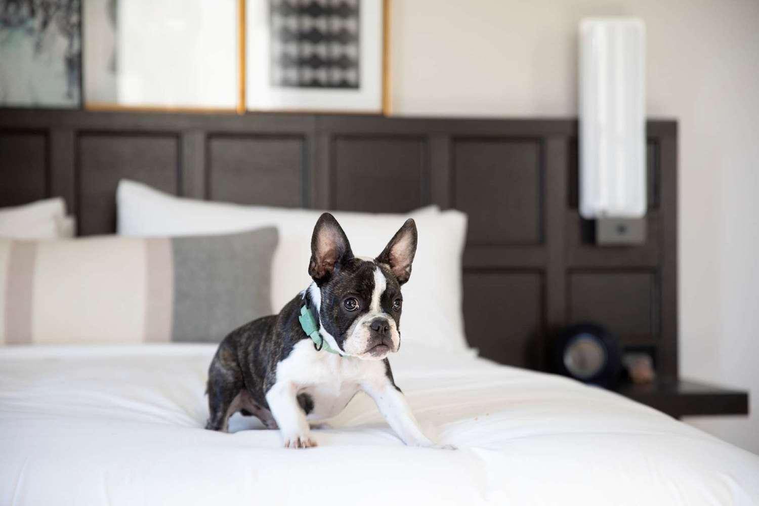 The Clift Royal Sonesta San Francisco by null