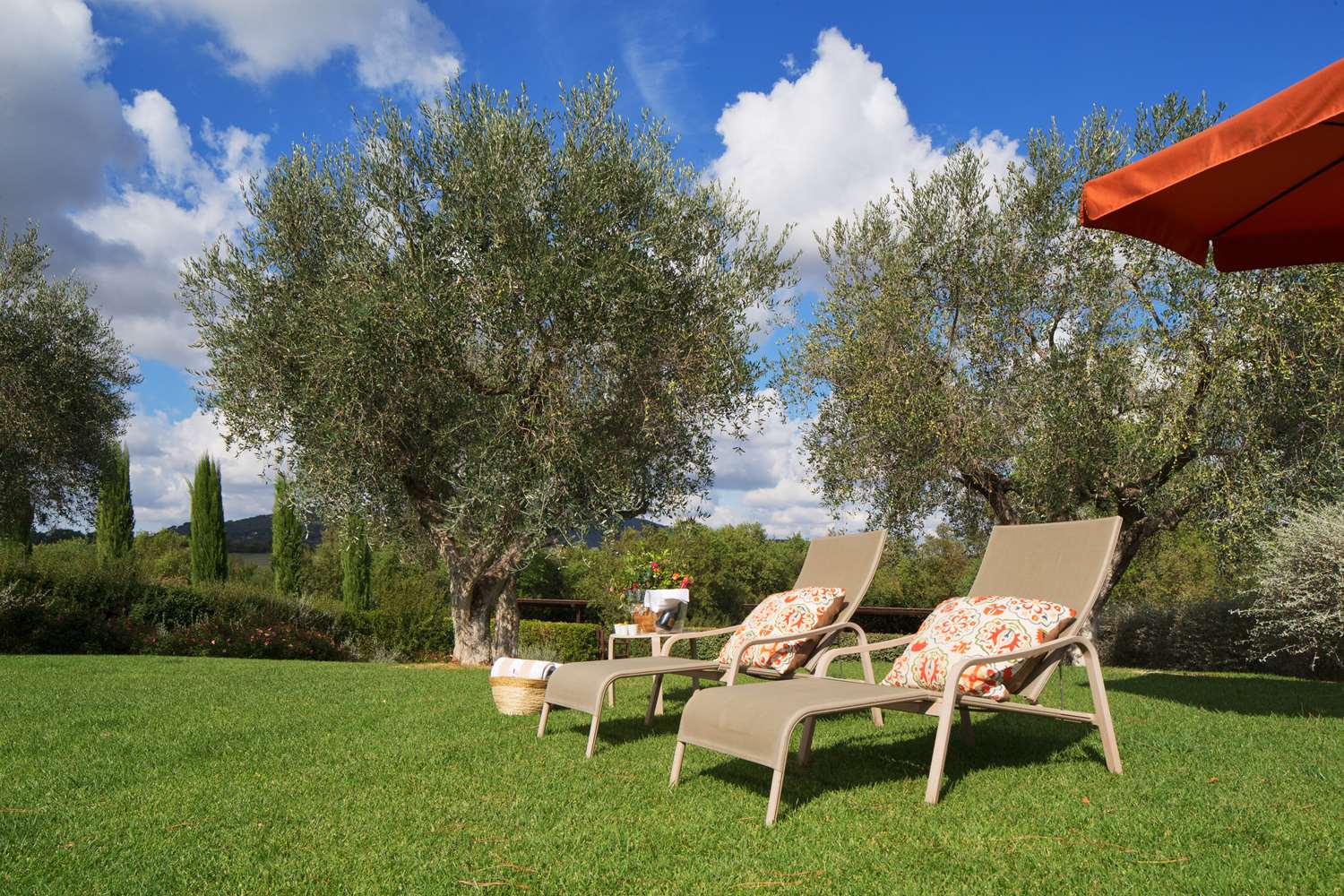 Locanda Rossa by null