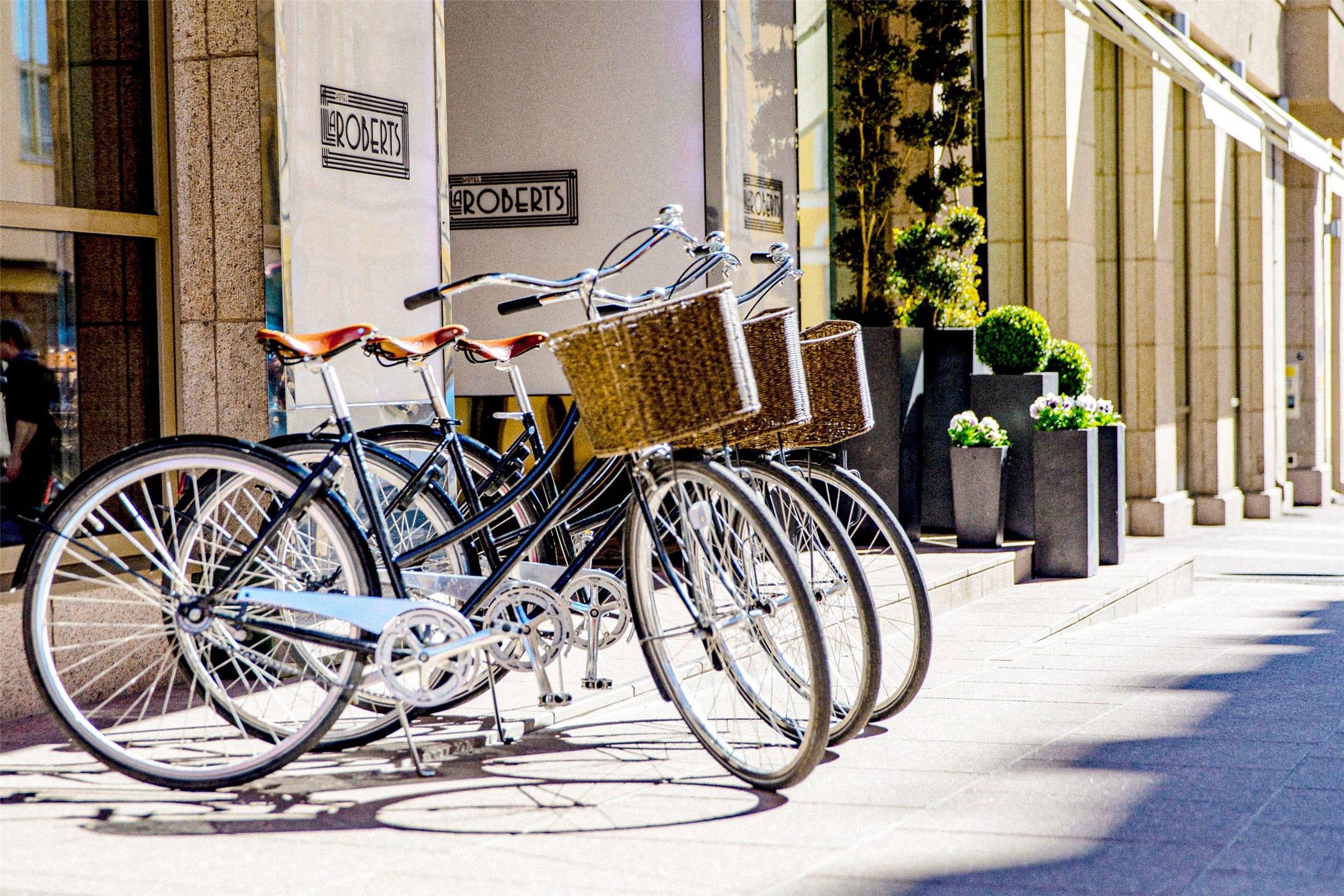 Hotel Lilla Roberts by null