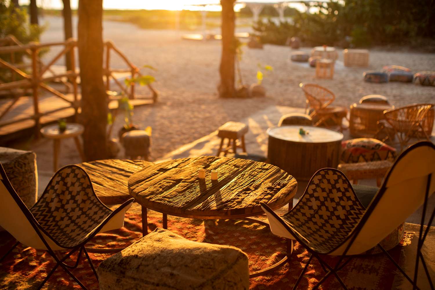 Palmaïa - The House of AïA by null Palmaïa - The House of AïA by null