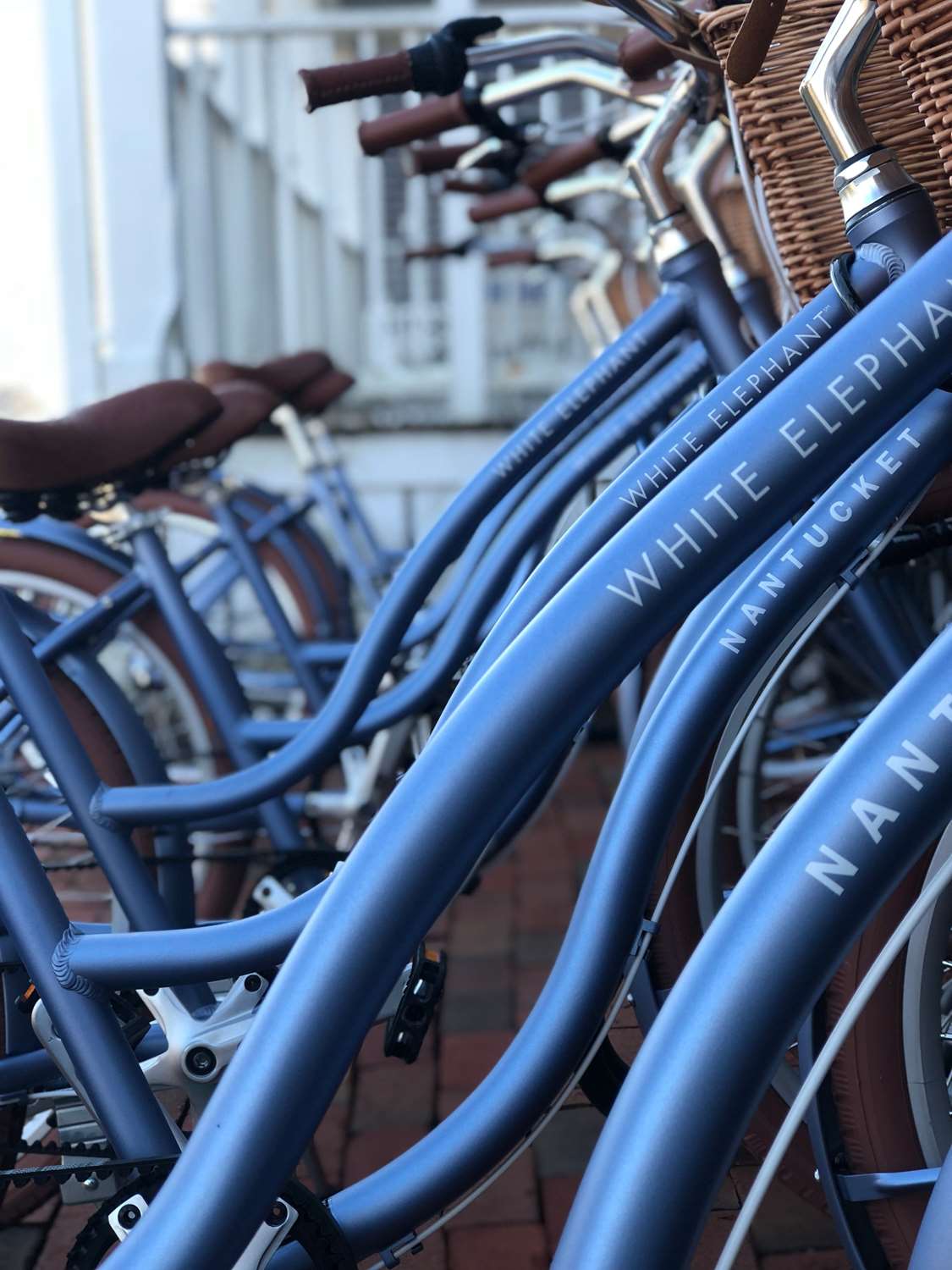 White Elephant Nantucket by null