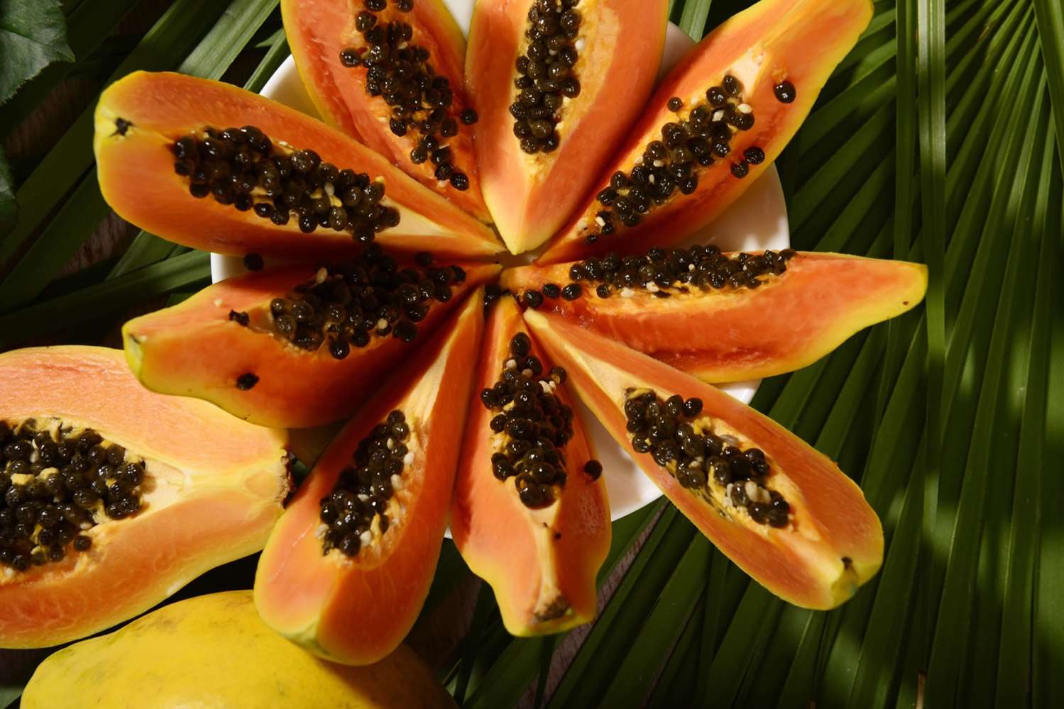 Villa Roma Imperiale by null