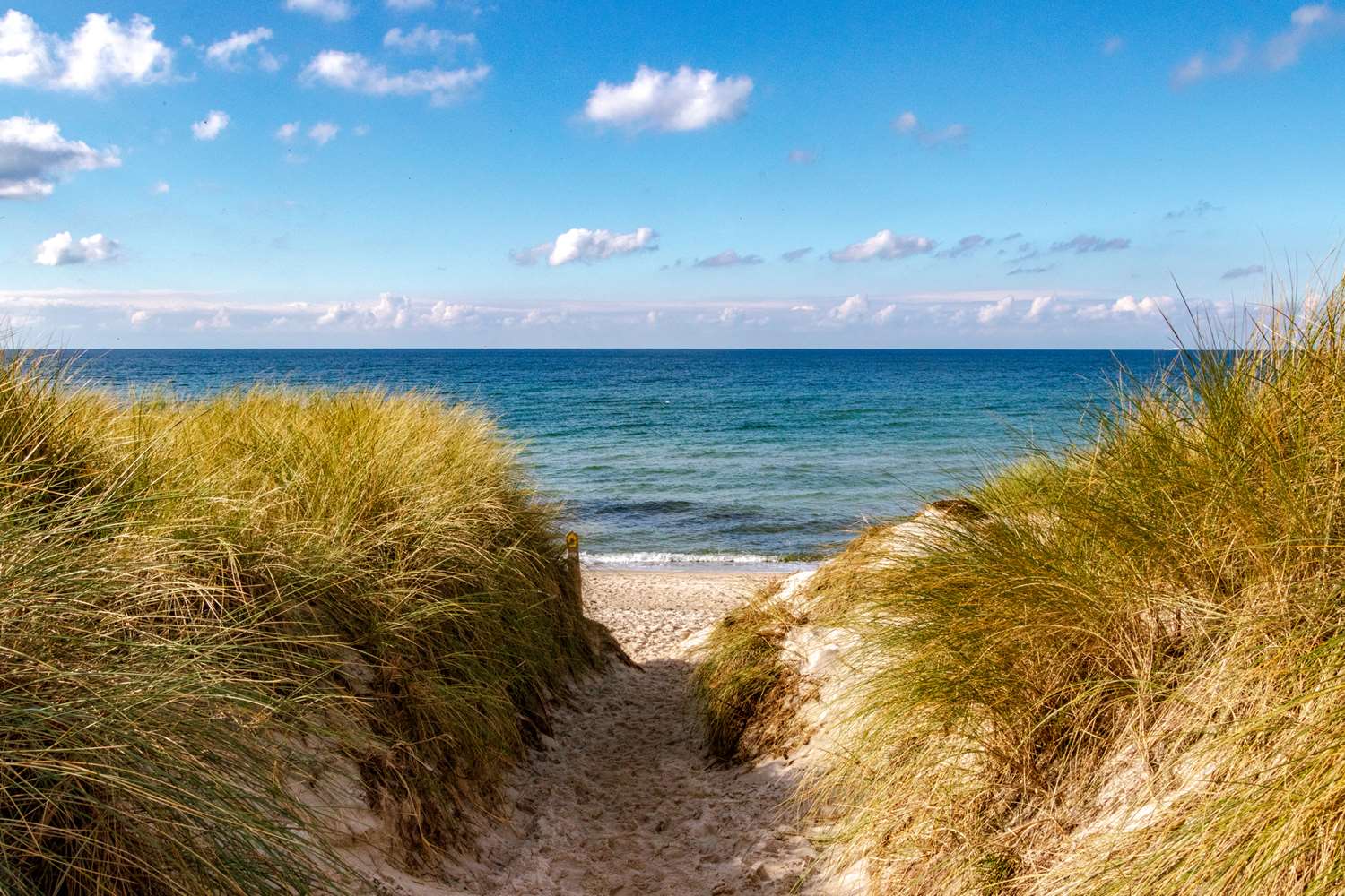The Sanderling Resort by null