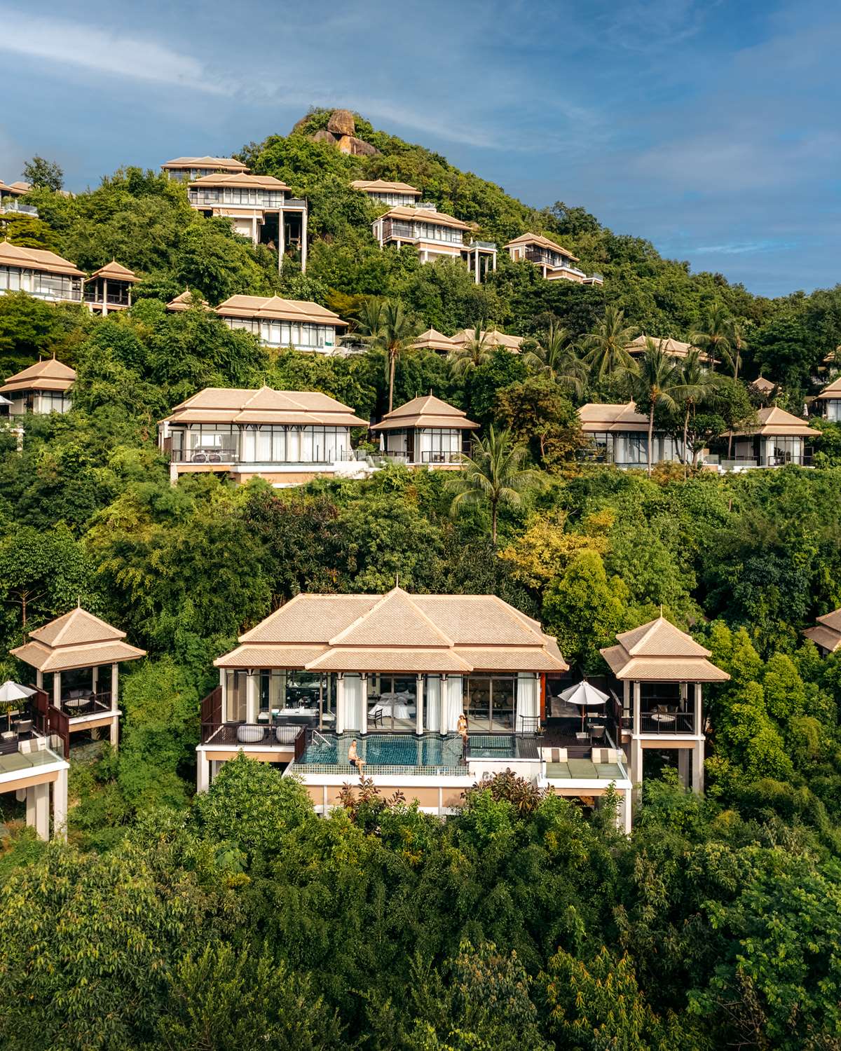 Banyan Tree image