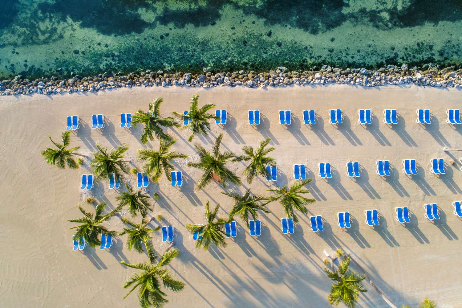 Islander beach'in fotoğrafı otel alanı