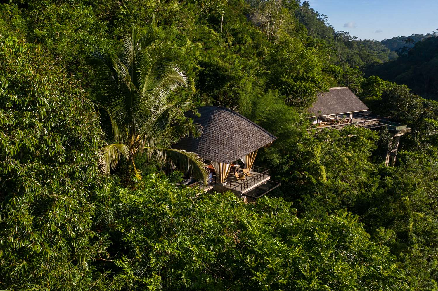 Buahan, a Banyan Tree Escape by null