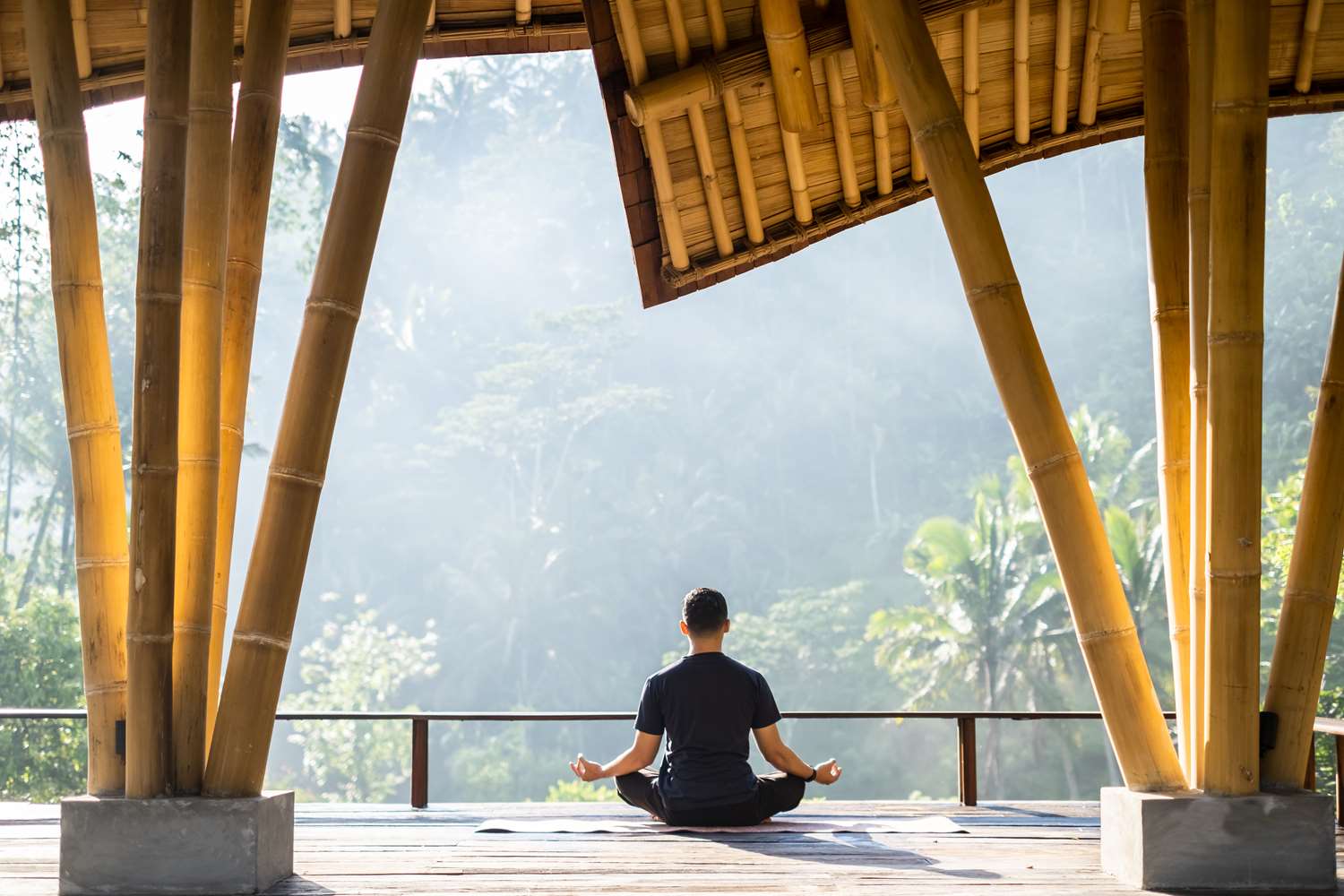 Buahan, a Banyan Tree Escape by null