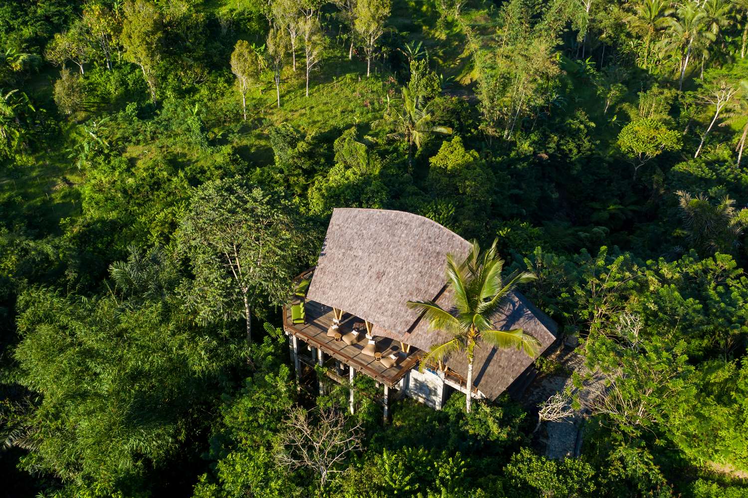Buahan, a Banyan Tree Escape by null