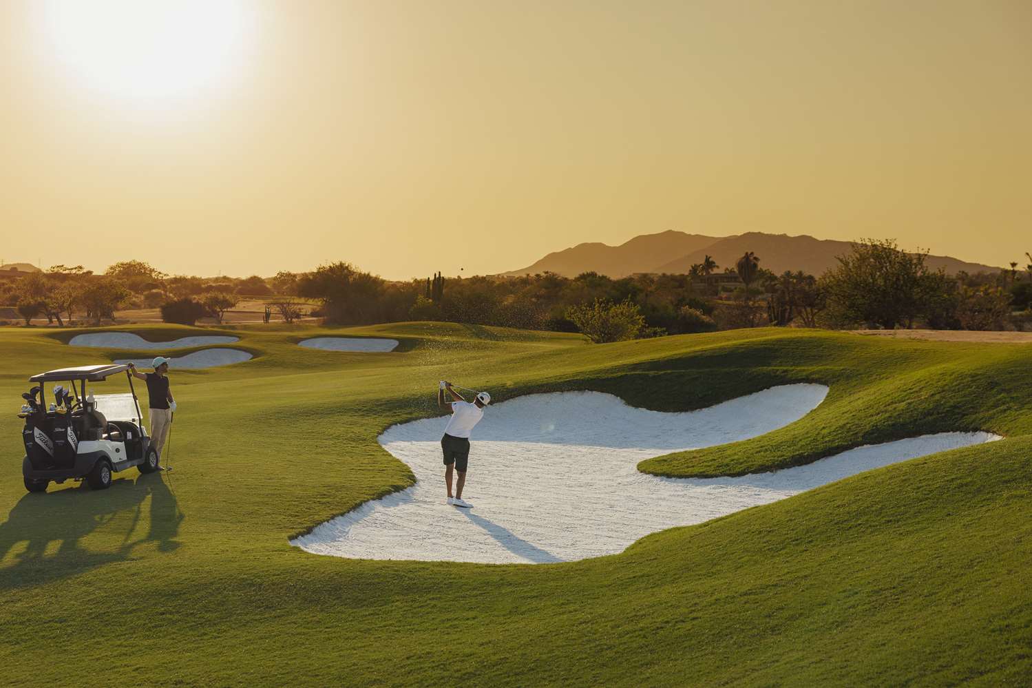 One&Only Palmilla by null