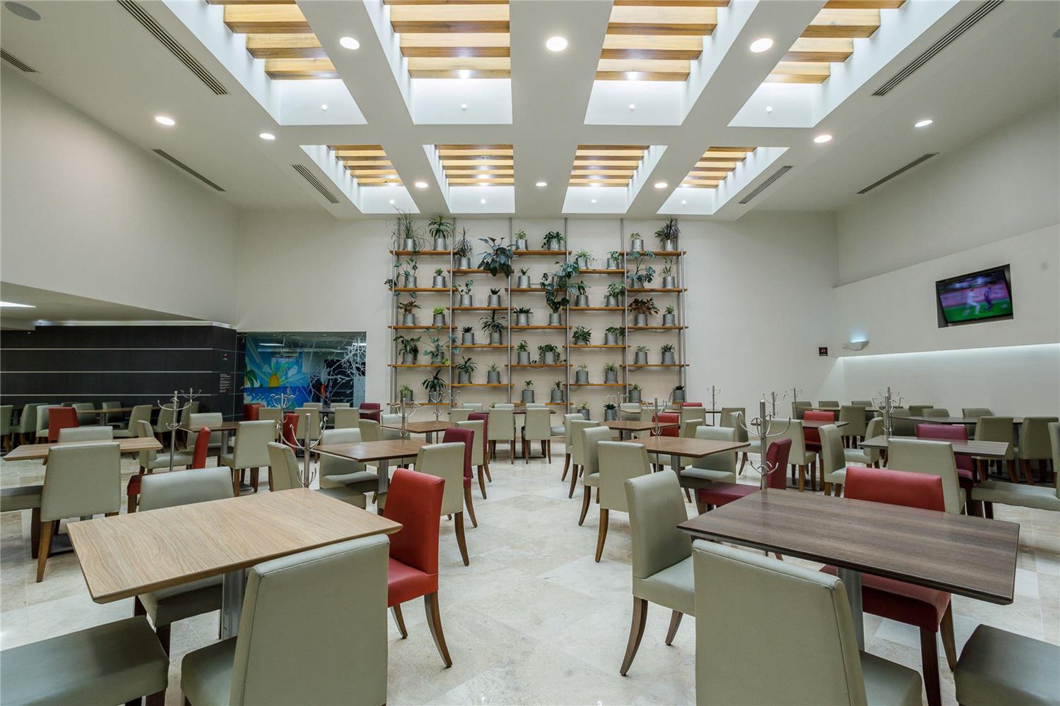 Hotel Real Inn Tijuana photo 4