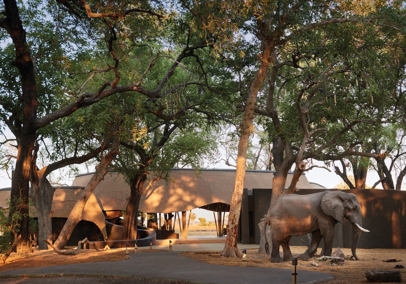 Khwai River Lodge, Botswana by null