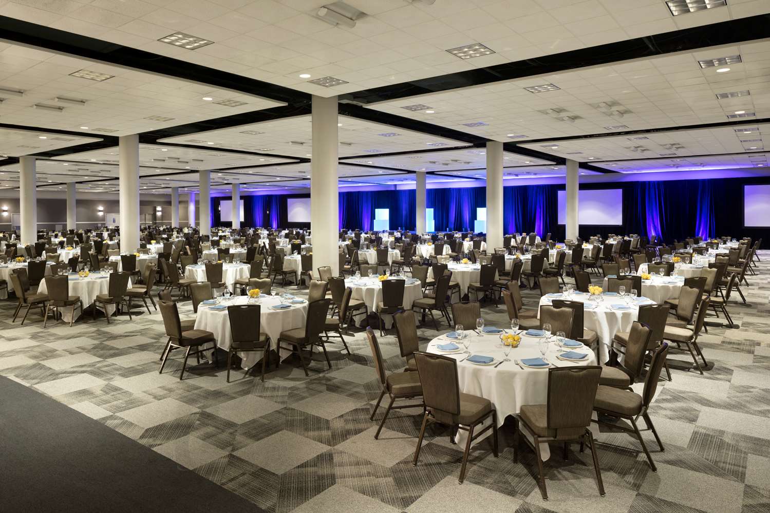 Hyatt Regency Dallas by null