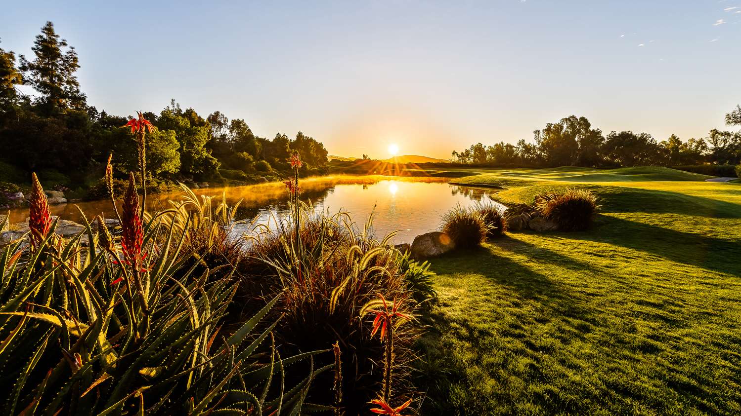Park Hyatt Aviara Resort, Golf Club & Spa by null