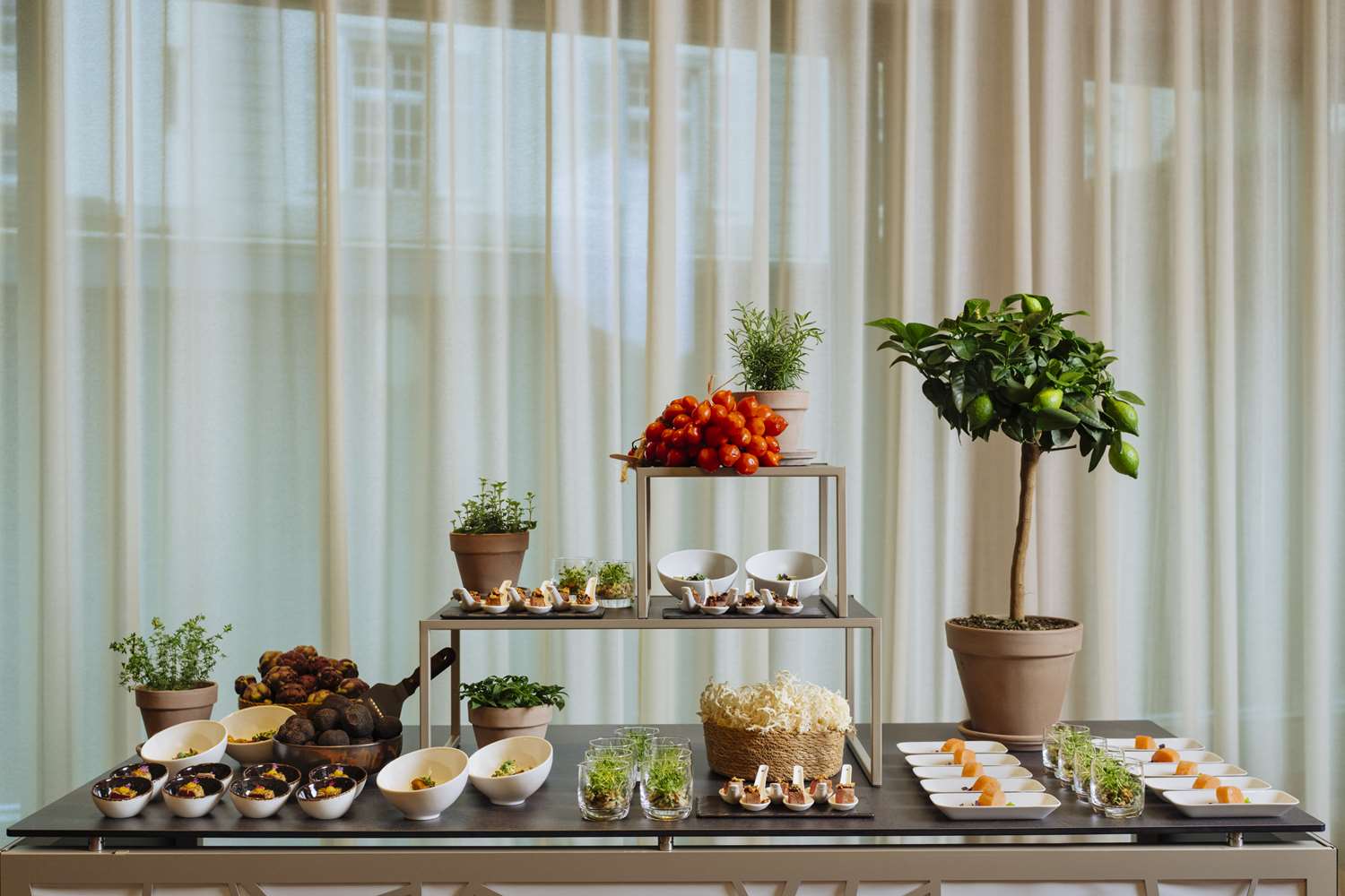 Park Hyatt Zurich by null