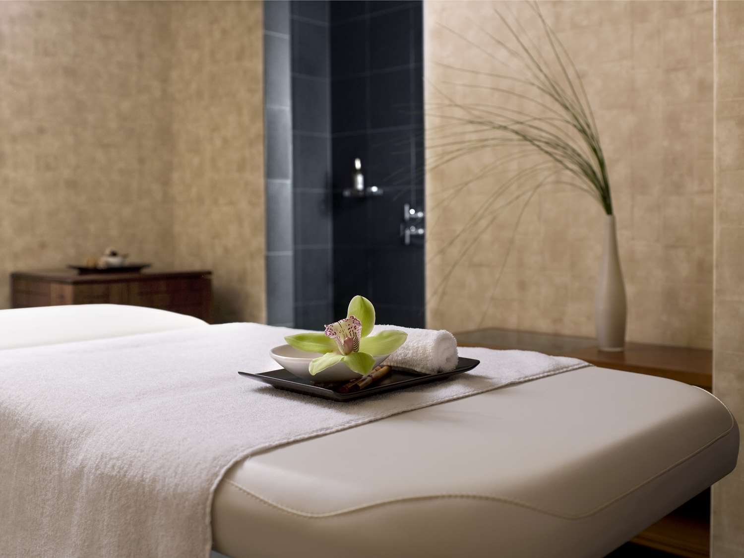 Park Hyatt Zurich by null