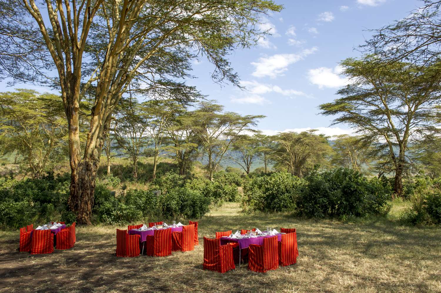 Ngorongoro Serena Safari Lodge by null