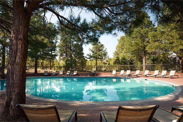 Little America Hotel by null