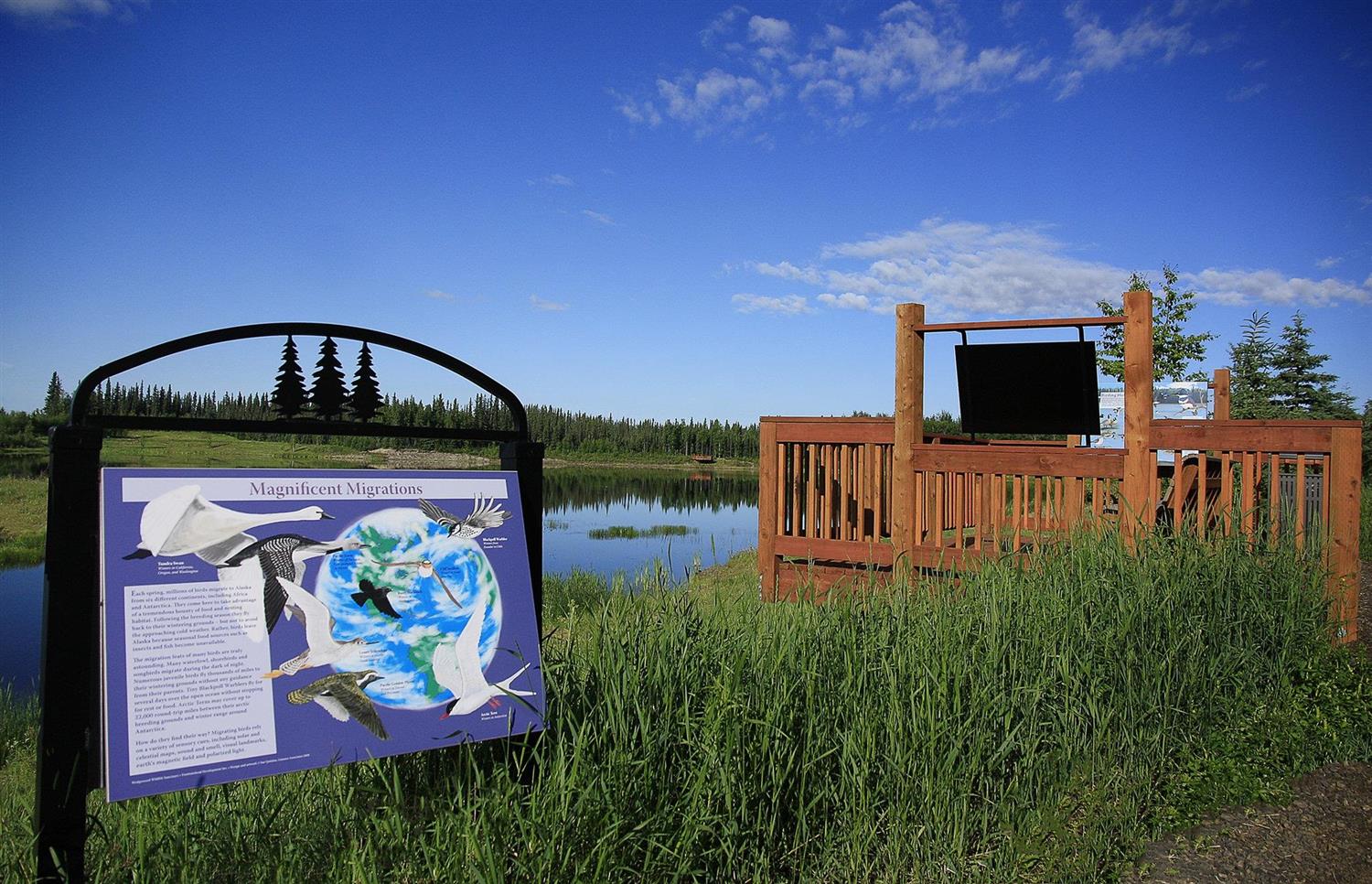 Bear Lodge @ Wedgewood Resort by null