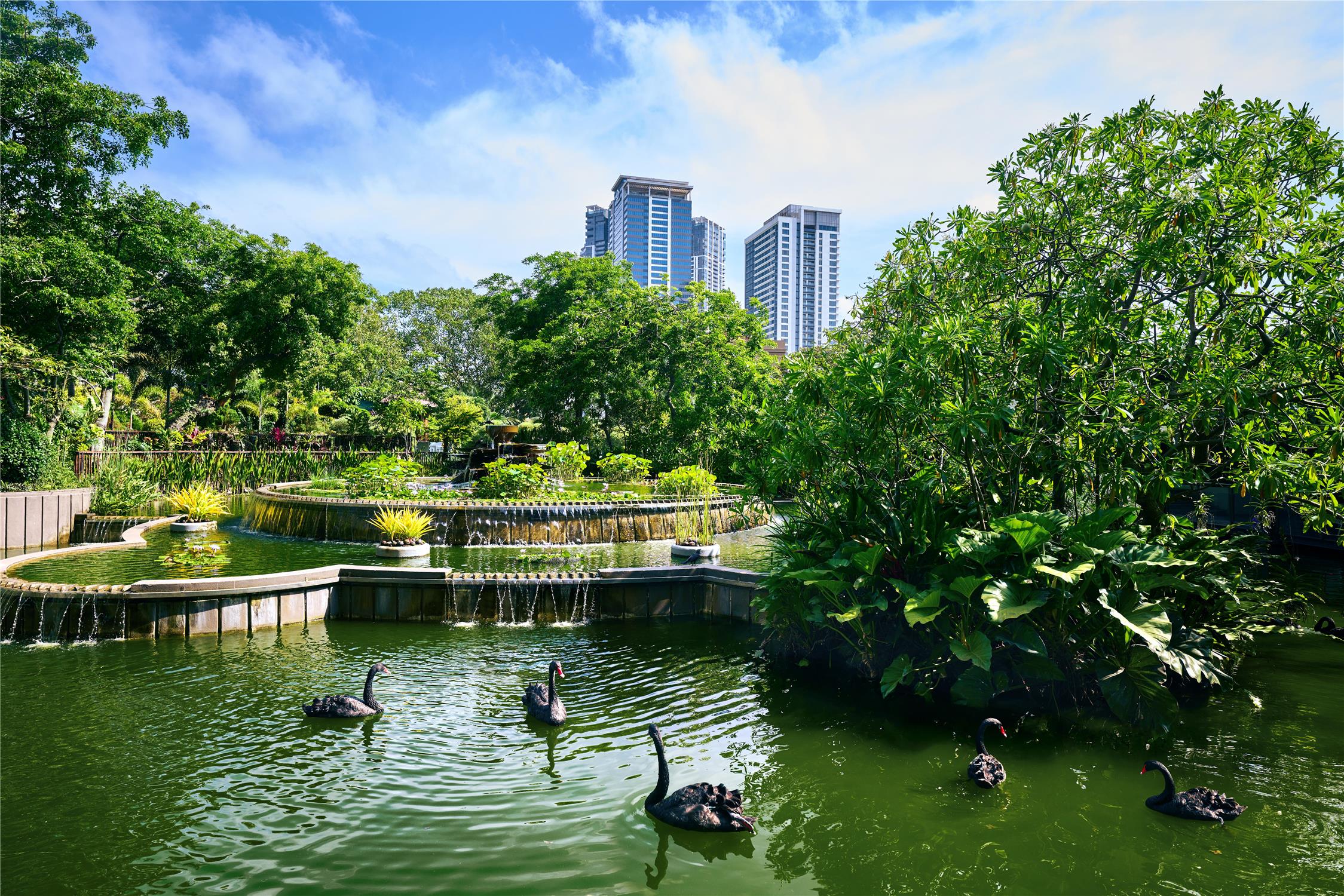 Hilton Colombo photo 3