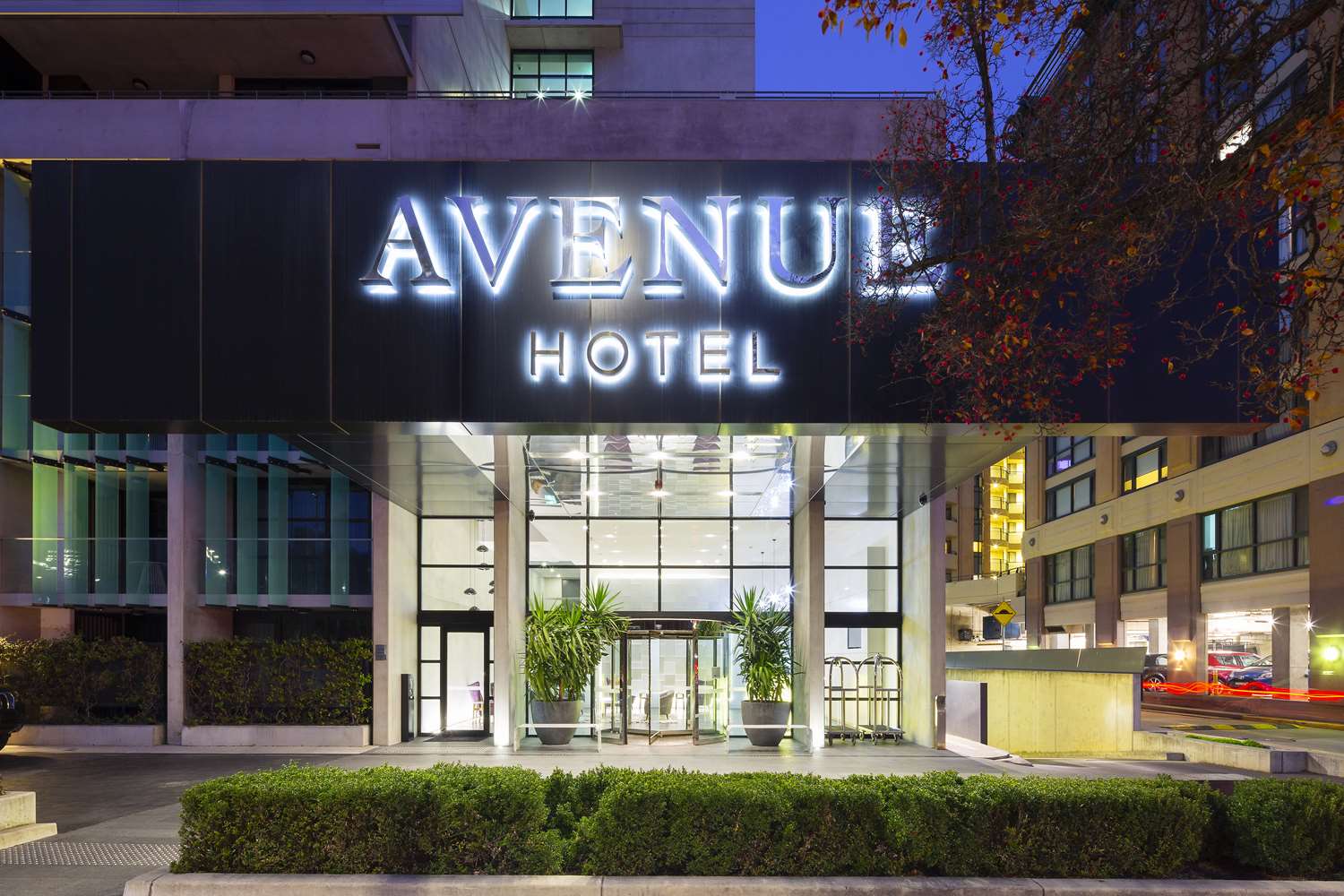 Avenue Hotel Canberra by null