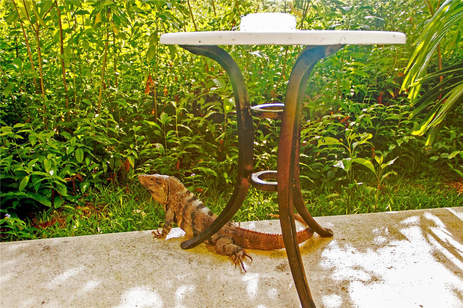 Occidental Cozumel by null