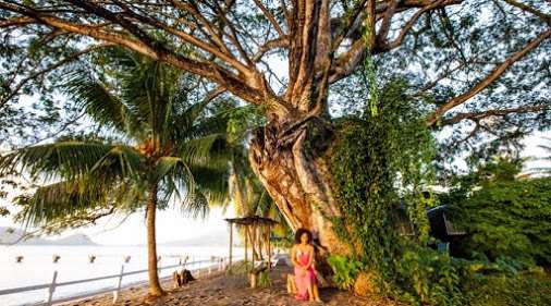 Picard Beach Cottages by null