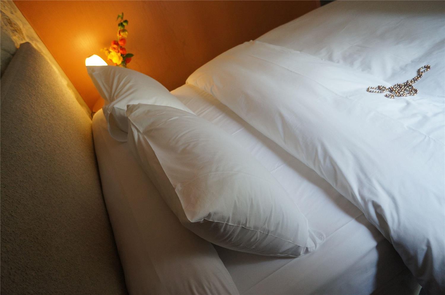 Hotel Danemark by null